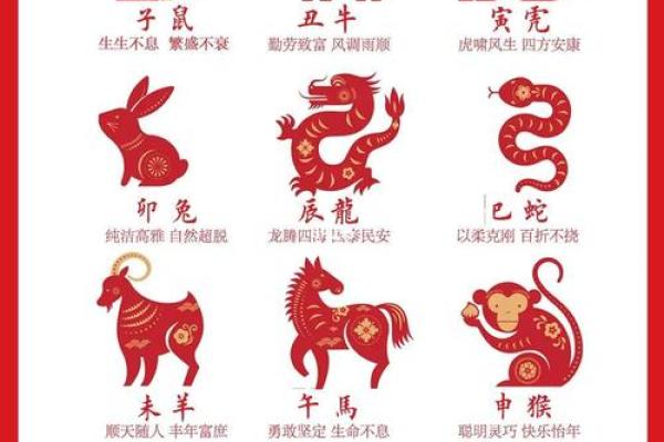 三从四德在十二生肖中代表什么动物，终极指南