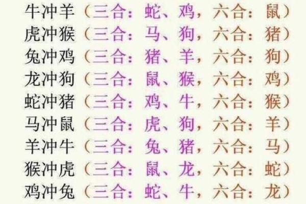潇字取名与哪些生肖相冲需要避免，独家秘籍