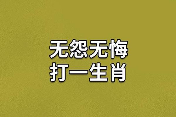 堂堂正正”打一生肖准确答案及解析，零氪玩家必备