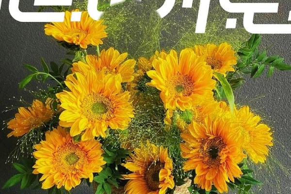 9月10号教师节(9月10号教师节图片)