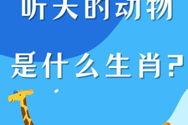 斗转星移”对应的生肖动物解析，终极指南