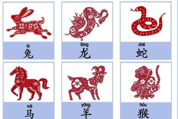 白首无成”指代哪个生肖？传统文化中的动物象征，新手必学