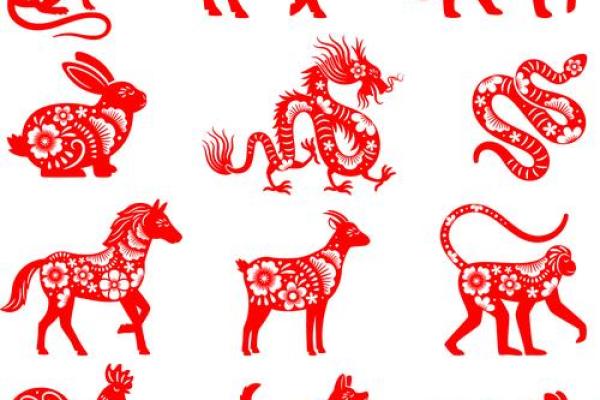 白首无成”指代哪个生肖？传统文化中的动物象征，新手必学