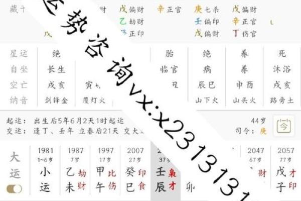 2025年流年风水布局与生肖运势对照表详解，实战技巧