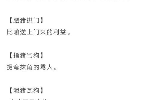 一朝一夕指的是哪个生肖的成语，详细教程