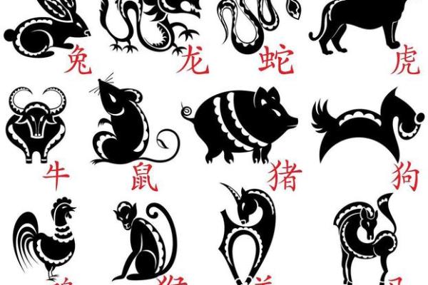 群魔乱舞”在十二生肖中代表哪个动物，新手必学