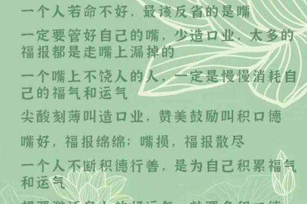 嘴上春风对应的生肖性格特点解析，新手必学
