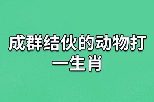 心灰意冷对应的生肖动物解析，必看攻略