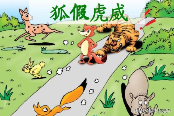 兔死狐悲代表什么生肖动物及其寓意解析，最新方法分享