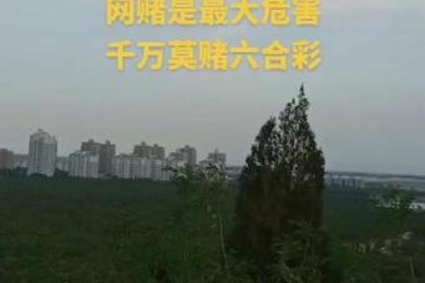 自相惊扰打一生肖谜底解析与生肖对照表，最新方法分享