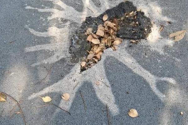 被雷劈火烧形容的生肖有什么特征，独家秘籍