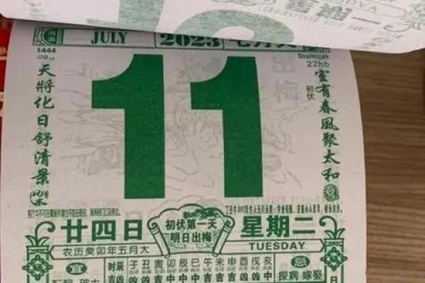 唯唯绸否谜底生肖解析及文化背景，新手必学