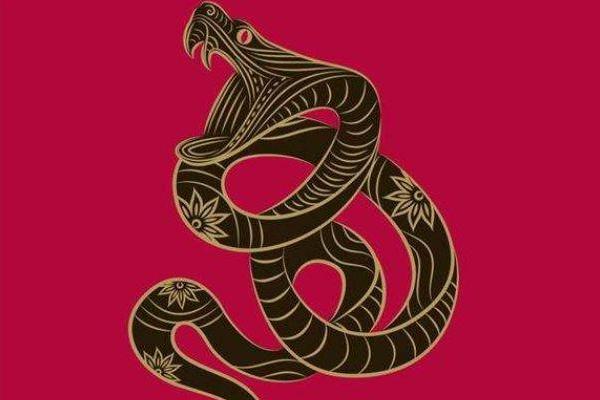 感激流涕打一生肖正确答案及详细解析，高手技巧