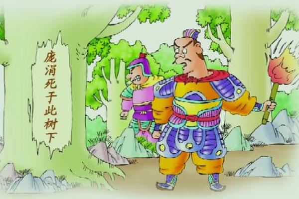 减灶之计”代表什么生肖动物及其寓意解析，实战技巧