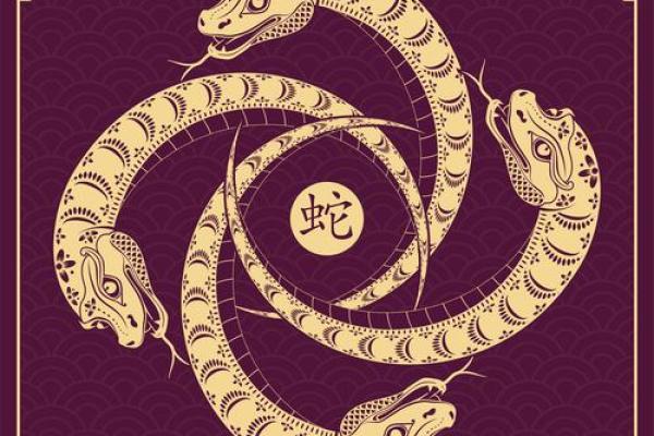 灭顶之灾”对应的生肖动物解析，终极指南
