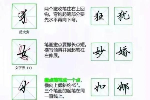 尧字起名禁忌属相解析，哪些生肖不宜用此字，独家秘籍