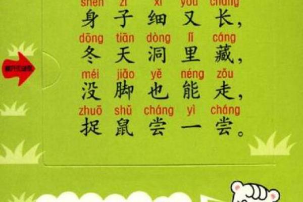 一下二下二只飞”打一生肖谜底是什么，新手必学