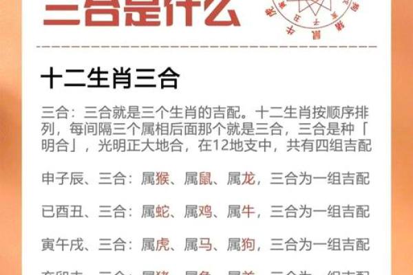 三分文雅风花月”对应的生肖解析及文化寓意详解，全解析