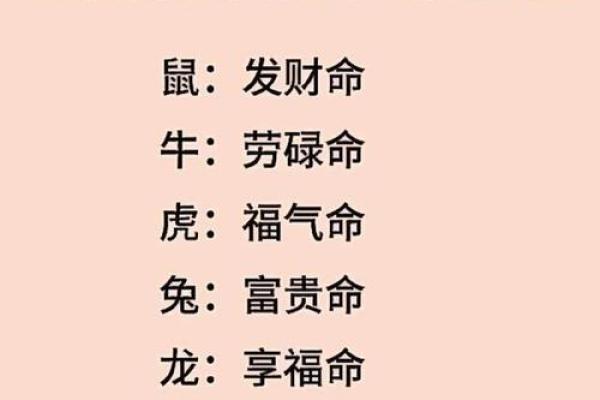 少吃缺穿的生肖有哪些特征，高手技巧