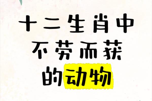 嫌肥挑瘦”对应的生肖动物及其特征解释，高手技巧