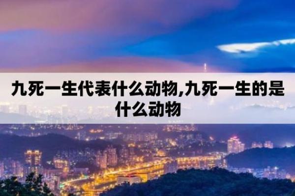 十二生肖中代表危险的动物是什么 科学解释，独家秘籍