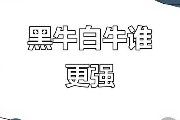 黑牛白角对应的生肖是什么最准确答案，零氪玩家必备