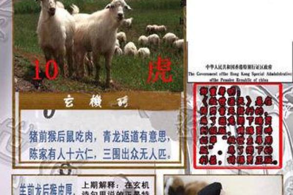 半工半读对应的生肖动物谜底是什么，最新方法分享