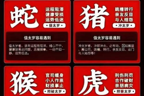 打着灯笼没处寻”对应的生肖谜底解析，最新方法分享