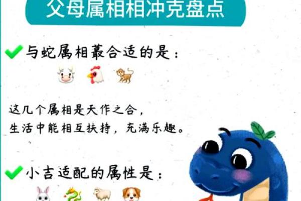 遮风挡雨”在十二生肖中对应哪个动物最贴切，必看攻略