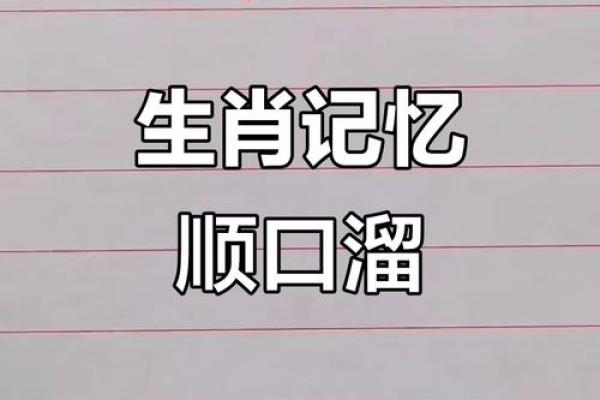 广开门路”对应的生肖动物解析，必看攻略