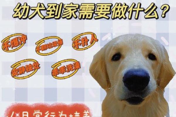 肥田沃地打一生肖是什么动物，新手必学