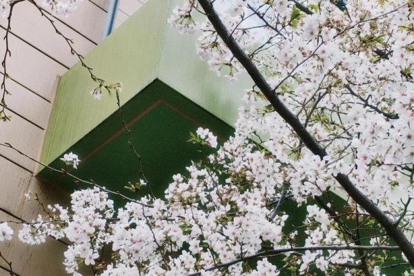 1977年8月19日阴历是多少 77年8月19日是什么星座