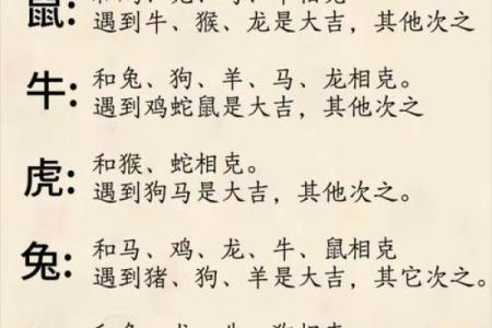 舐犊之爱对应的生肖动物及其文化寓意解析，不看后悔