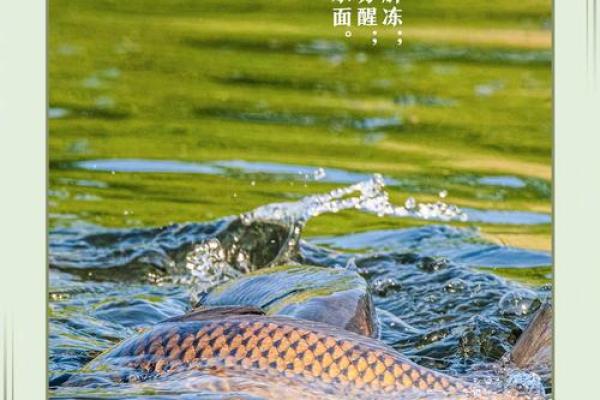 2月4日几点立春(2月4日几点立春)