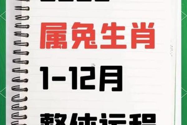 2025年属兔乔迁吉日(2025年属兔乔迁吉日有哪几天)