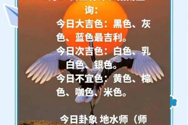 2025年11月23日五行穿衣指南被扒快来瞧一瞧