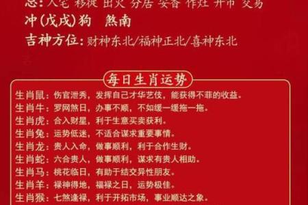 今天五行穿什么颜色衣服2025年12月31日有图有真相