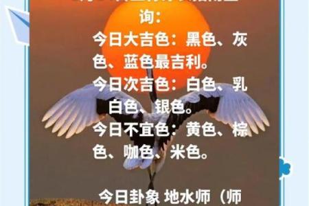 2025年11月23日五行穿衣指南被扒快来瞧一瞧
