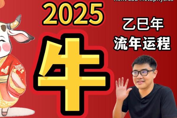 2025年属牛的搬家吉日(2025年对属牛的人好不好)