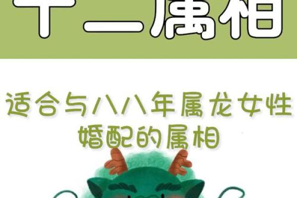 1952年属龙的最佳婚配 1952年属龙和什么属相相克