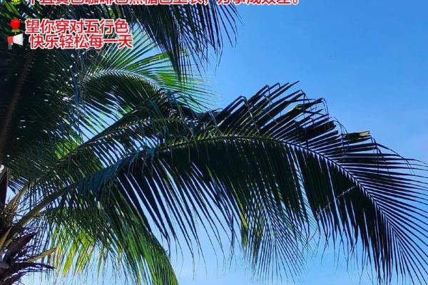 2025年10月2日五行穿衣搭配每日指南千万要处理