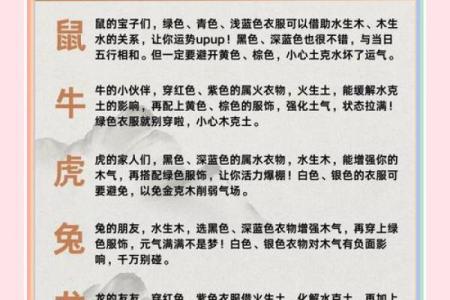 2025年12月16日五行穿衣每日分享详细使用步骤来了