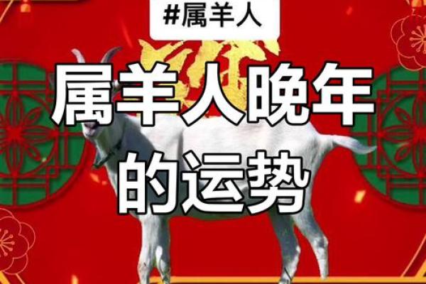 1979属羊人开业吉日(1979年属羊开店起名)