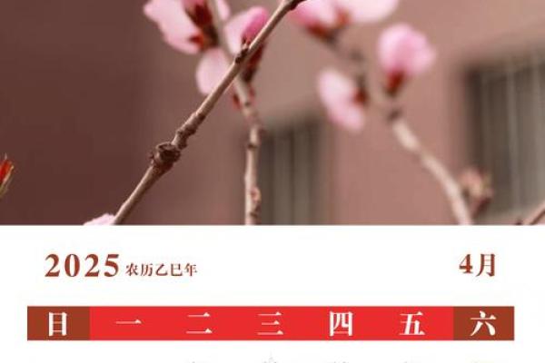 2025年适合新居乔迁日历(2025年适合乔迁新居的日子)