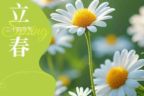 2025年2月3日立春适合结婚吗(2025立春是几月几日)