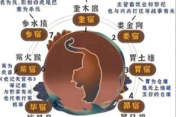 28星宿搬家吉日(搬家二十八星宿哪个星宿好)