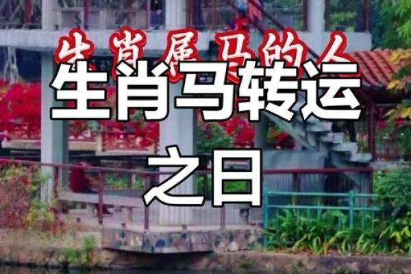 2025年属马结婚吉日(2025年属马结婚黄道吉日)