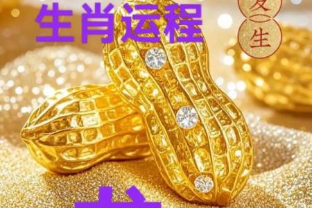 2025年属龙最佳乔迁日期(2025年属龙最佳乔迁日期是多少)