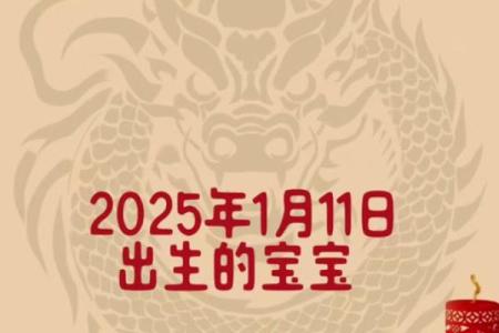 2025年龙女结婚最佳月份(属龙女在2025年结婚吉日)