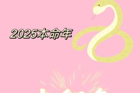 2025年属蛇适合结婚吗(2025年属蛇适合结婚吗元旦是哪一天)